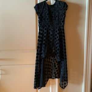 Zara Sheer black polka dot dress